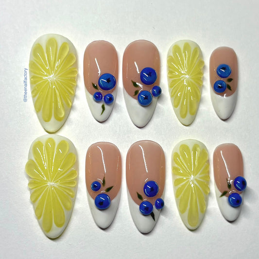 blueberry lemon biscuit