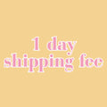 ups 1 day shipping
