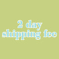 ups 2 day shipping