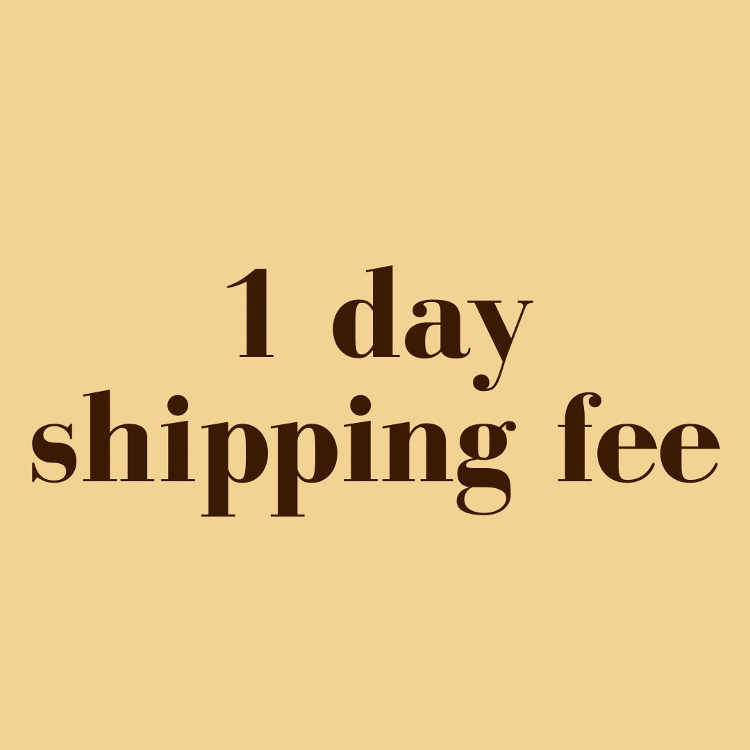ups 1 day shipping