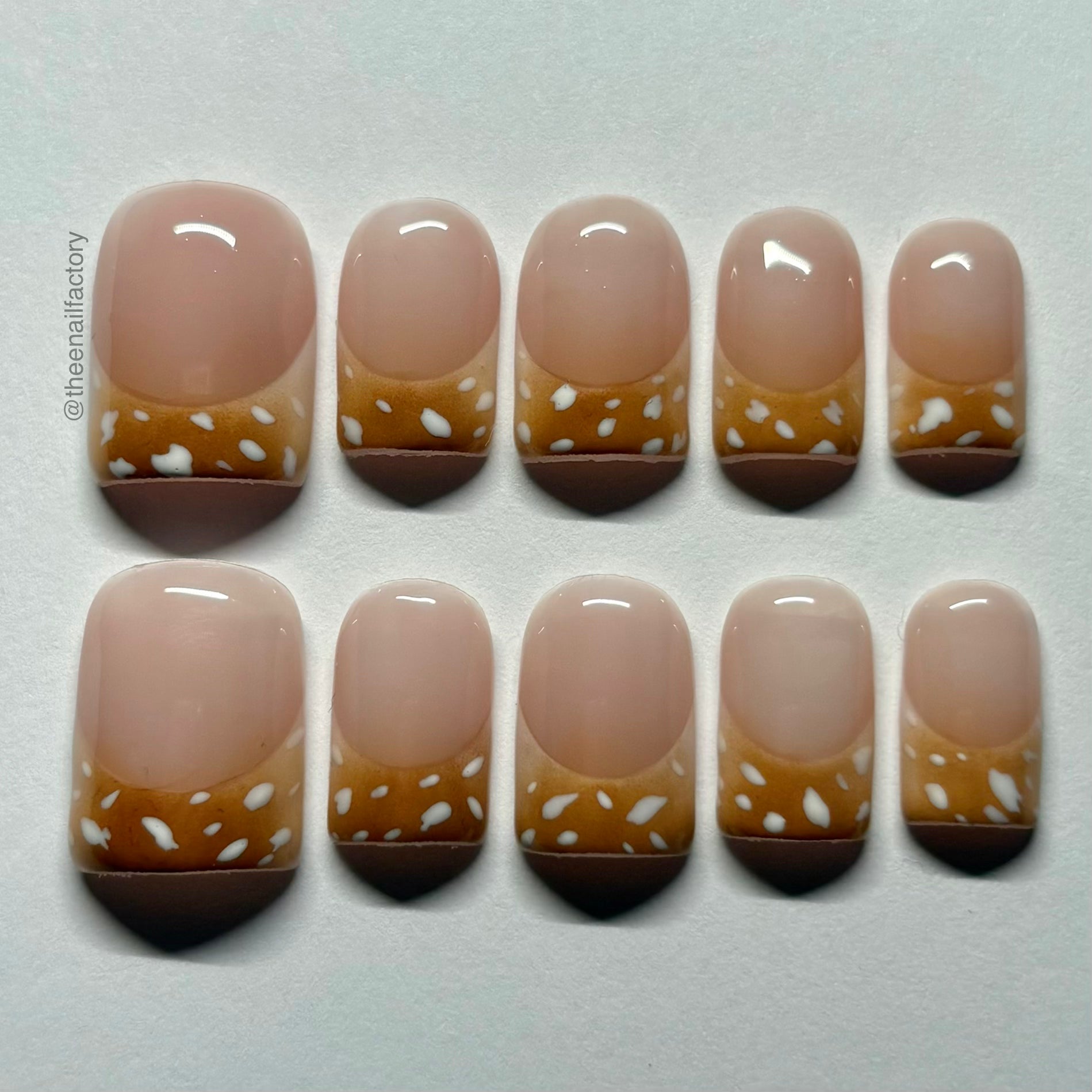 fawn